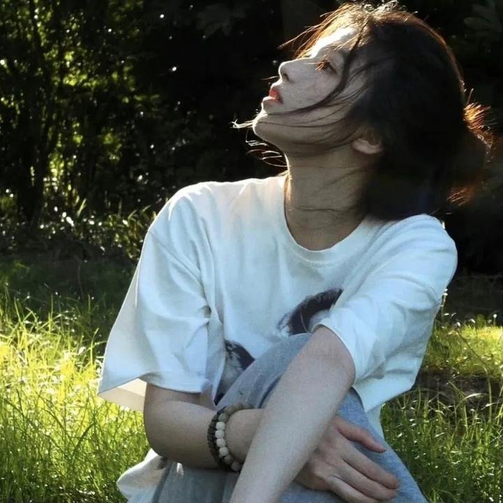 五香宫的猫