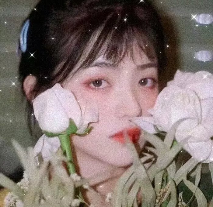 未踏足的世界