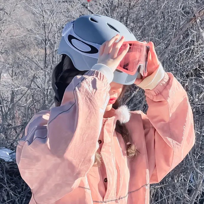 英雄情泪保山河